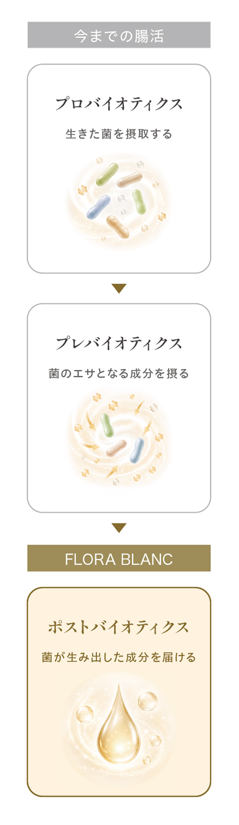 今までの腸活　プロバイオティクス　生きた菌を摂取する　プレバイオティクス　菌のエサとなる成分を摂る　FLORA BLANC　ポストバイオティクス　菌が生み出した成分を届ける